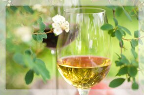 Bier, Wein & Mixgetränke
